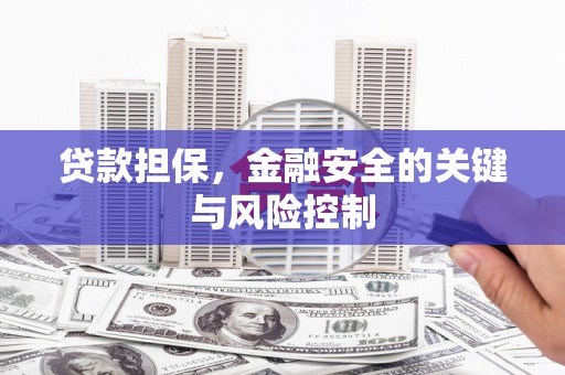 夏河贷款担保，金融安全的关键与风险控制