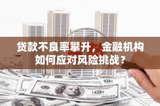 夏河贷款不良率攀升，金融机构如何应对风险挑战？