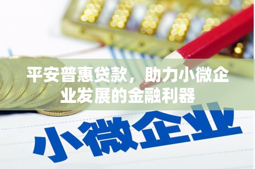 夏河平安普惠贷款，助力小微企业发展的金融利器