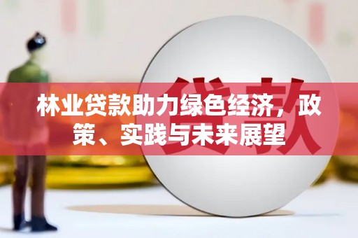 夏河林业贷款助力绿色经济，政策、实践与未来展望