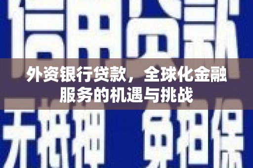 夏河外资银行贷款，全球化金融服务的机遇与挑战