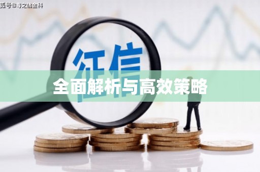 夏河全面解析与高效策略