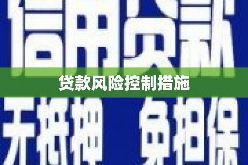 夏河贷款风险控制措施