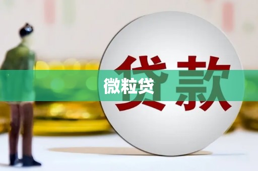 夏河微粒贷