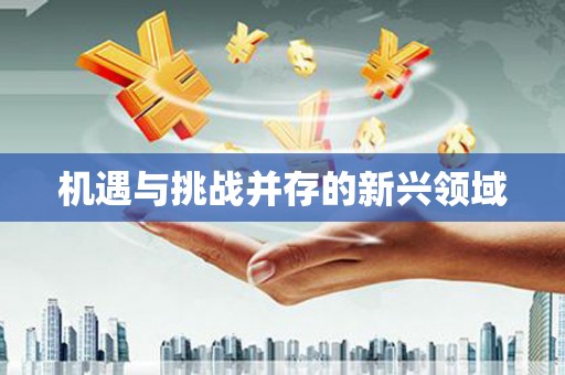夏河机遇与挑战并存的新兴领域