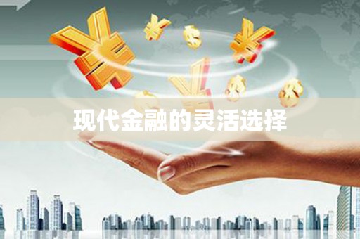夏河现代金融的灵活选择